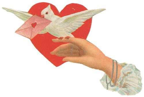 Saint Valentin, j’ai un message pour toi 💌